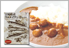 宮崎県産ウルメイワシカレー