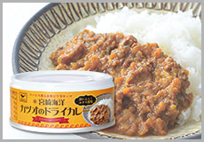 宮崎海洋 カツオのドライカレー